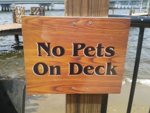 No Pets on Deck by Marjorie Rosenberg    CC BY 2.0